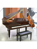 GB1K (Polished Mahogany), зображення 2